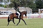 Equestrian 03.jpg