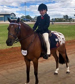 Student riding a horse during an equestrian event presenting in competition setting