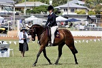 Student riding horse in dressage event demonstrating control and technique