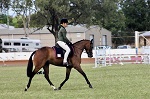Student riding horse in arena during equestrian competition