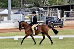 Student riding horse in equestrian event on grass field