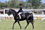 Student riding black horse during equestrian event in show ring