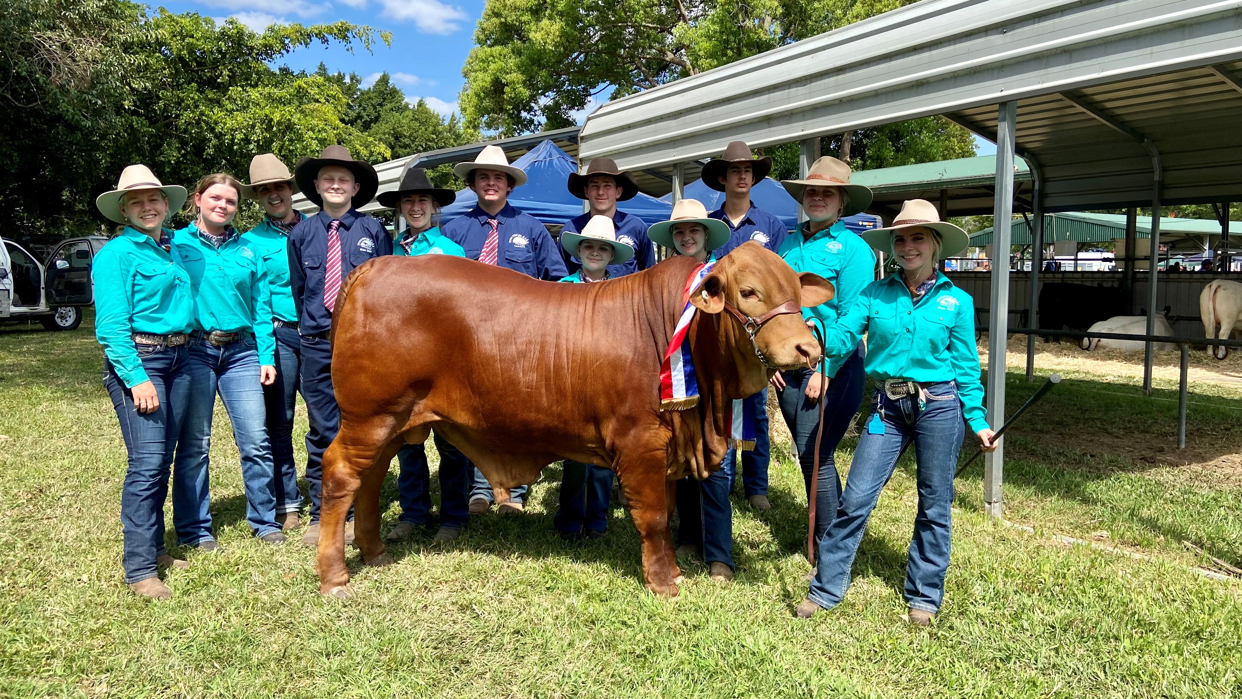 School agriculture show team standing with a prize-winning cow at a livestock event